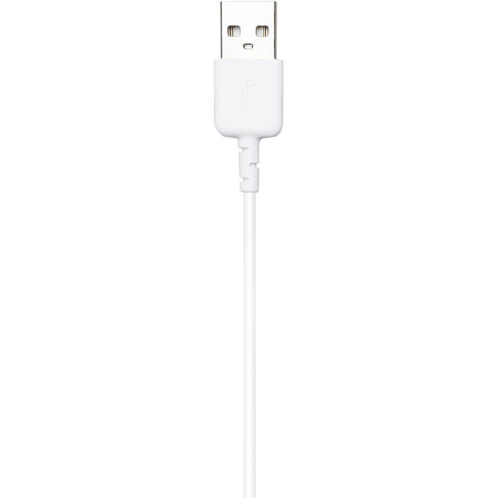 DJI USB Type-A to Lightning Remote Controller Cable