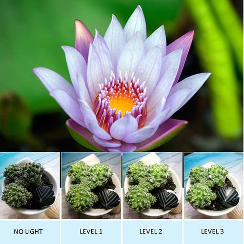 UmAid 3-In-1 Light with Lens Kit for Smartphones