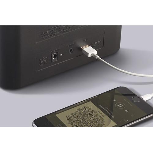 Fender Newport Bluetooth Speaker