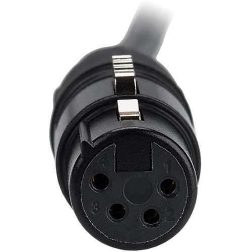 FotodioX Power Adapter Cable - 4-Pin XLRF to 4-Pin XLRM
