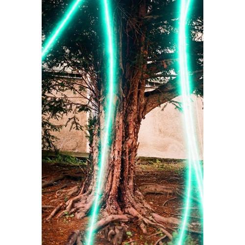 REVOLOG Lazer 200 Color Negative Film