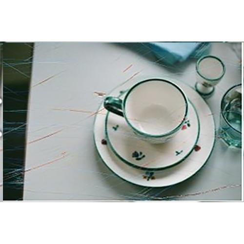 REVOLOG Rasp 200 Color Negative Film