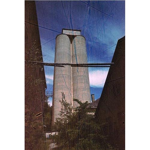 REVOLOG Streak 200 Color Negative Film