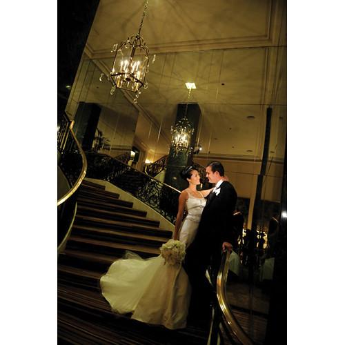 Lowel GL-1 Power LED