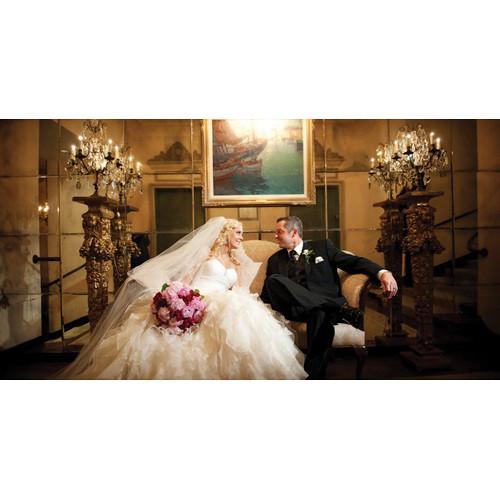 Lowel GL-1 Power LED