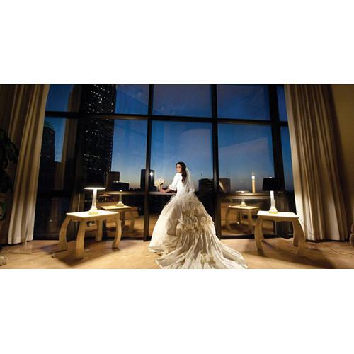 Lowel GL-1 Power LED