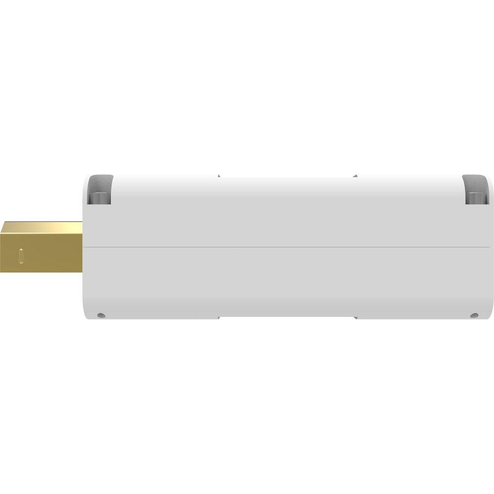 iFi AUDIO iPurifier3 USB Type-B Purifier