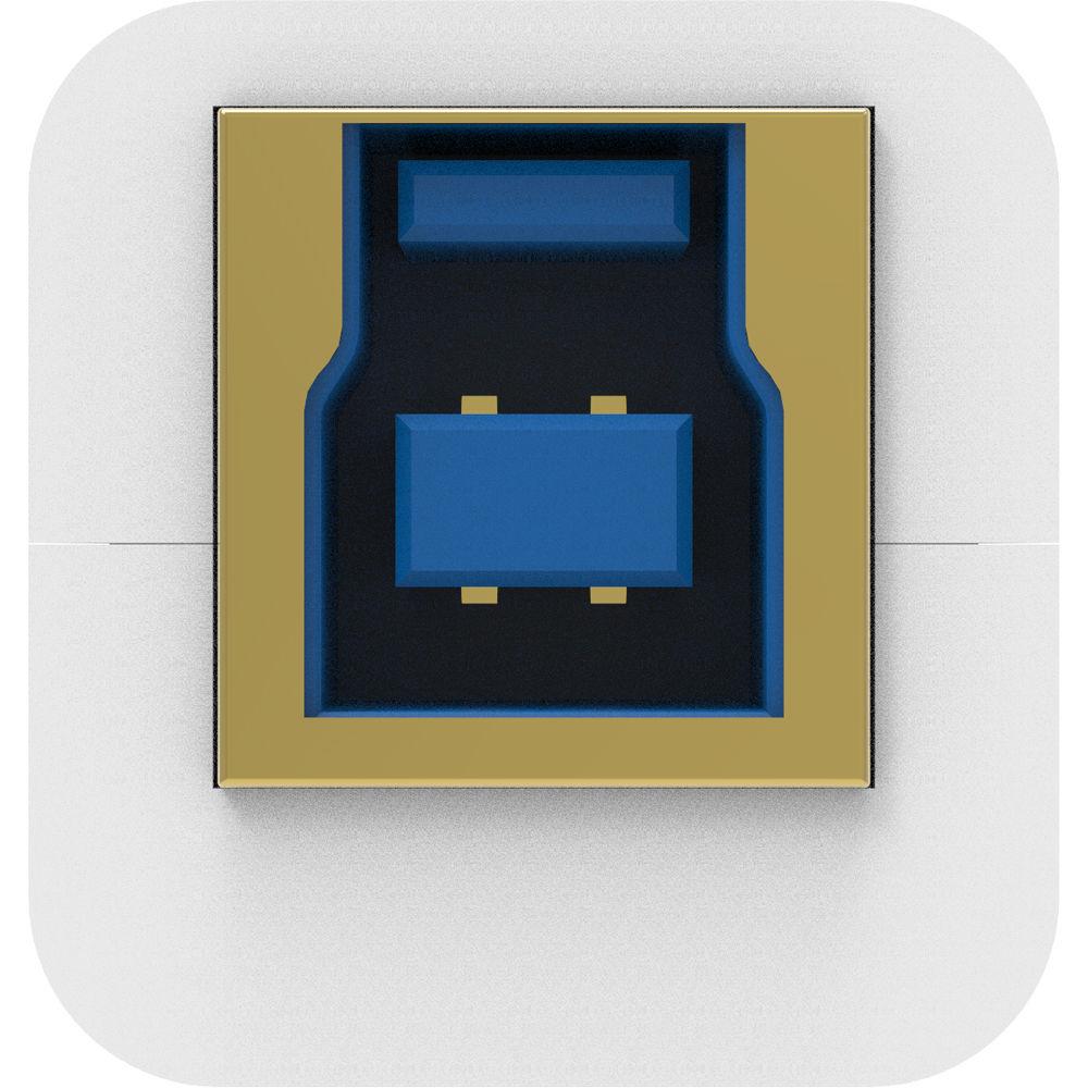 iFi AUDIO iPurifier3 USB Type-B Purifier