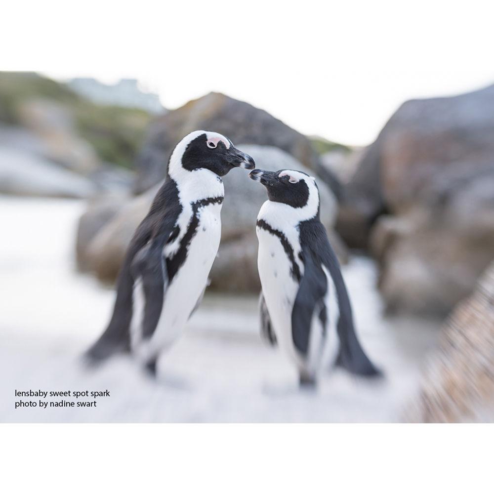 Lensbaby 50mm f 2.5 Sweet Spot Spark Lens for Canon EF