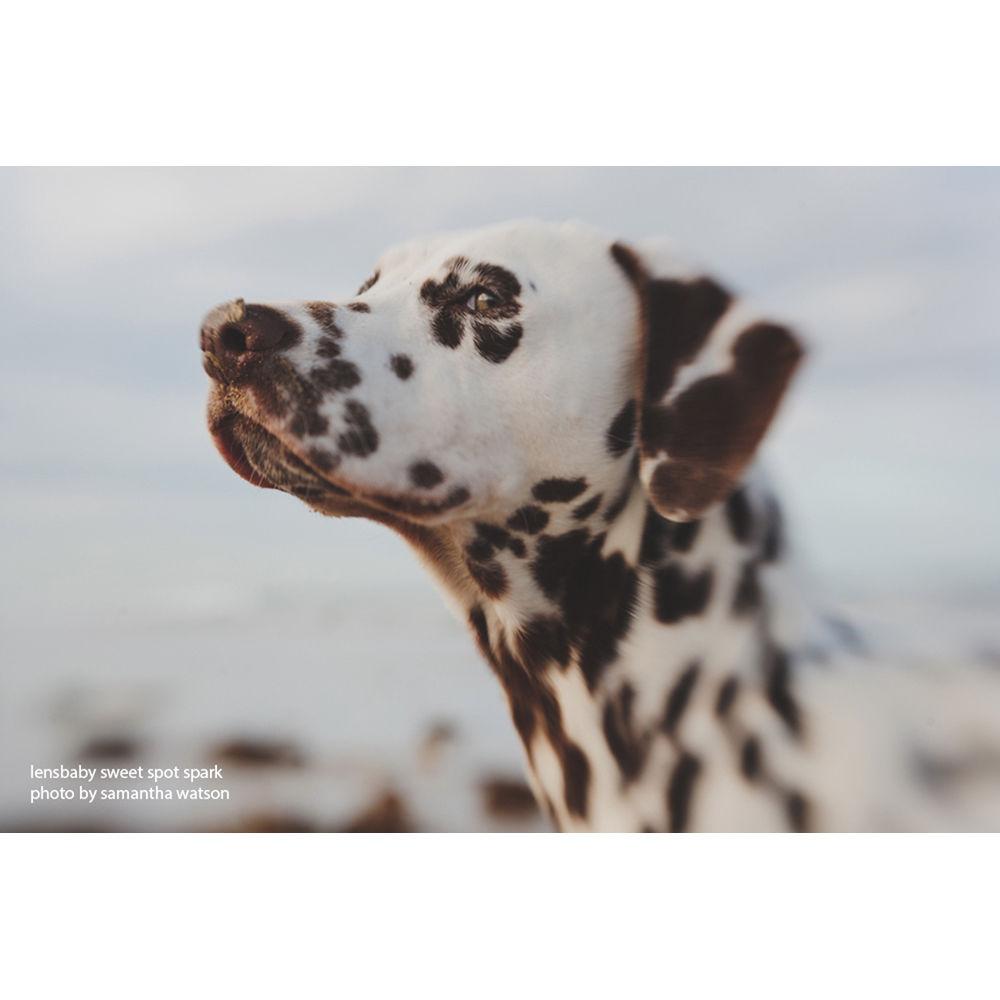 Lensbaby 50mm f 2.5 Sweet Spot Spark Lens for Nikon F