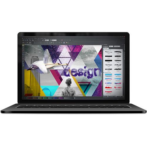 MAGIX Entertainment Xara Photo Graphic Designer - EsSDVolume 100