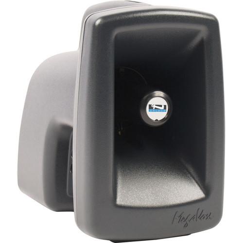 Anchor Audio MEGA-DP1-B MegaVox 2 Deluxe PA, Wired Companion Speaker, Two Stands and Wireless Lapel Headset Microphones