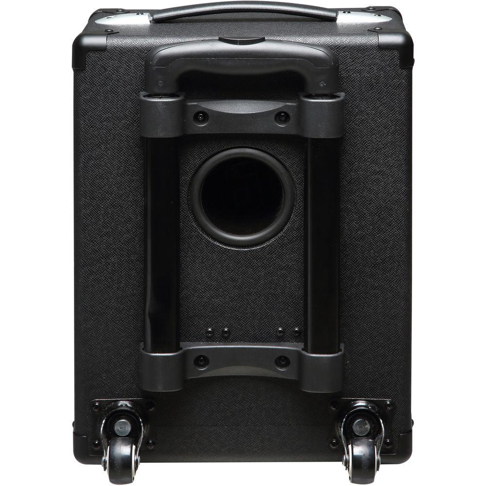 Kurzweil KST300A Portable Rechargeable Combo Amplifier