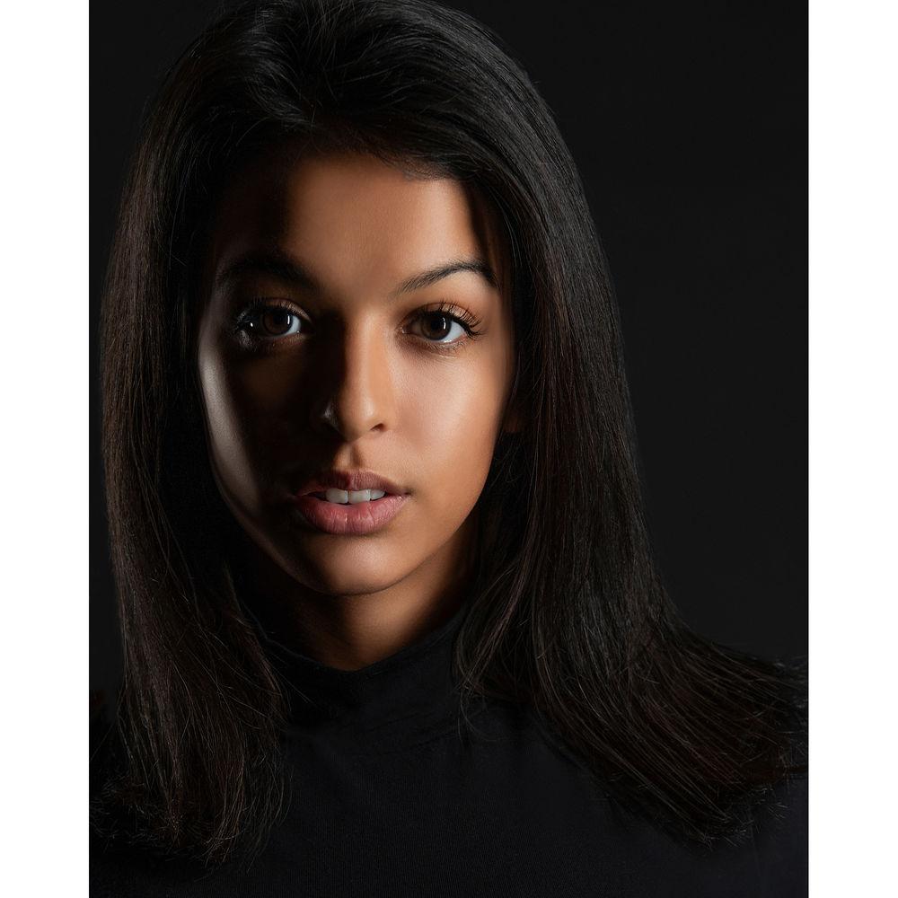 Genaray Key and Fill Lighting 36" Soft Strip 2-Light Standard Kit with Light Stands