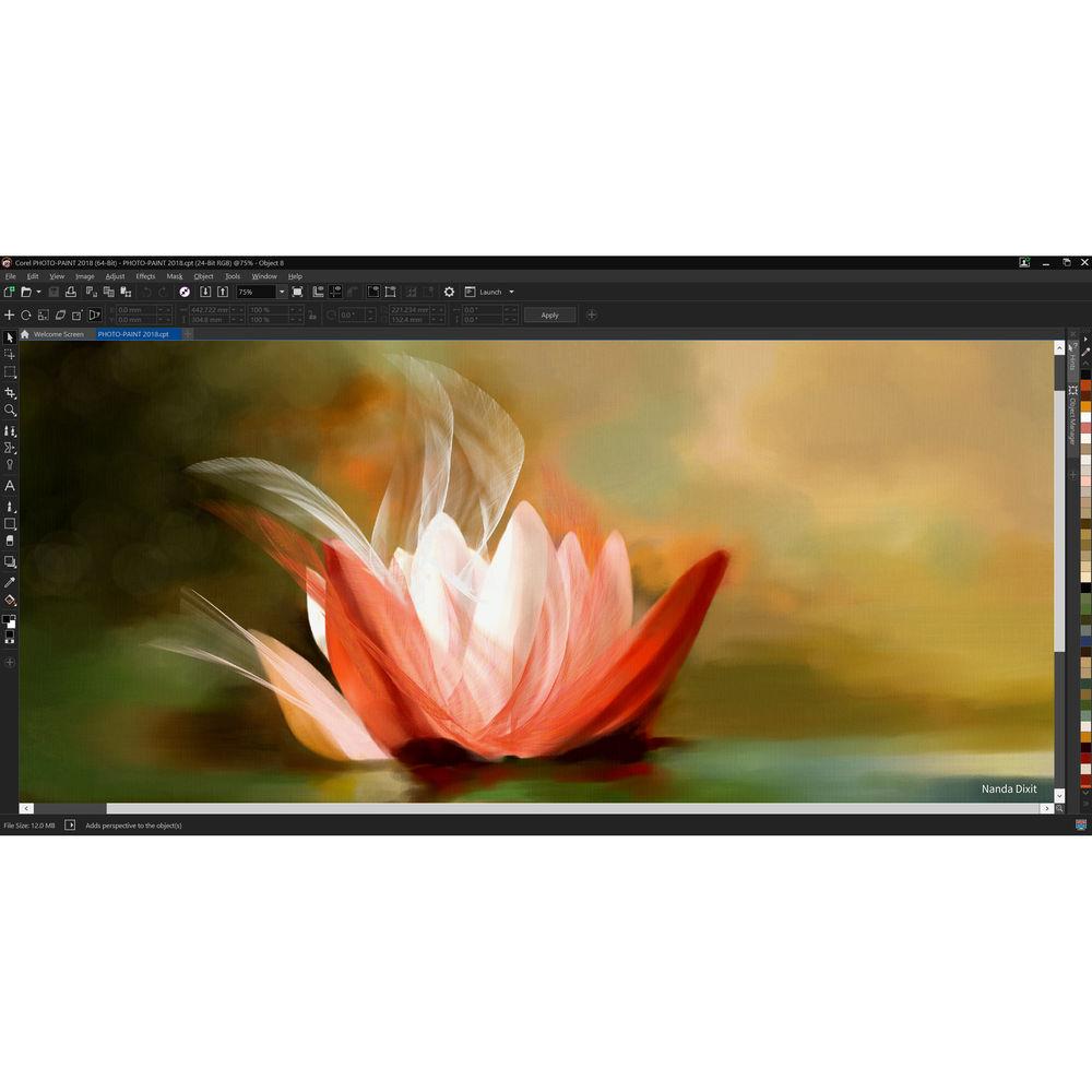 Corel CorelDRAW Graphics Suite 2018