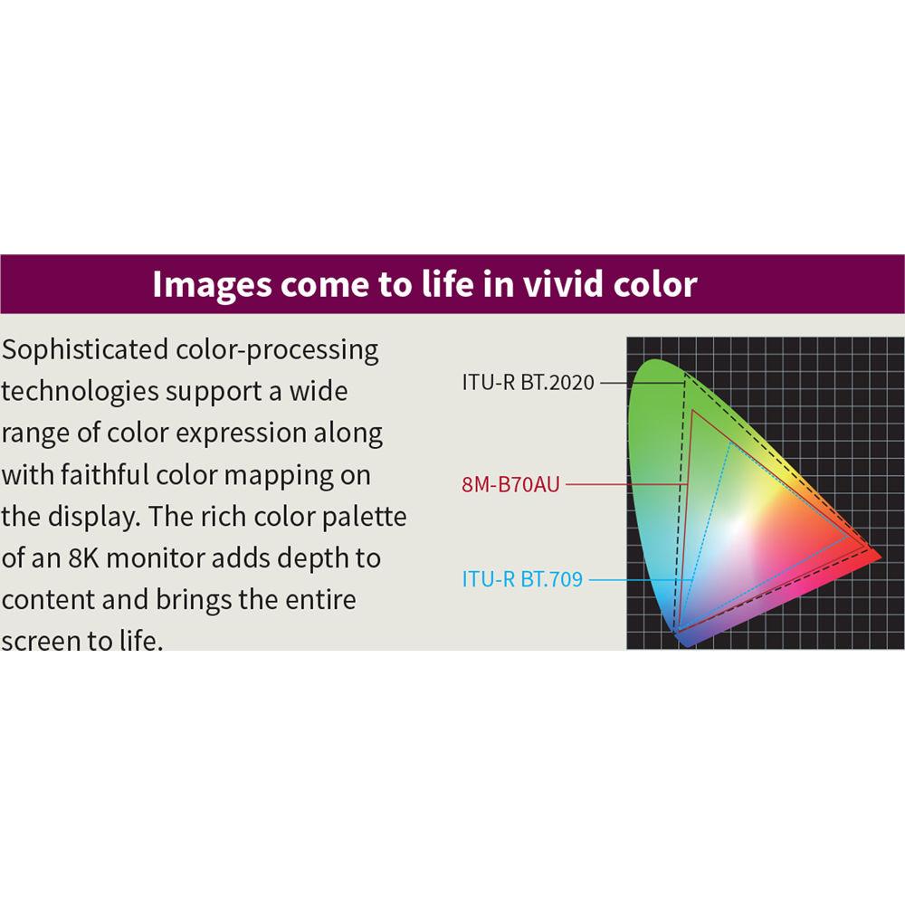 Sharp 70" Class Commercial LCD Display UHD with 400 CD M2 Brightness and 3000:1 Contrast Ratio