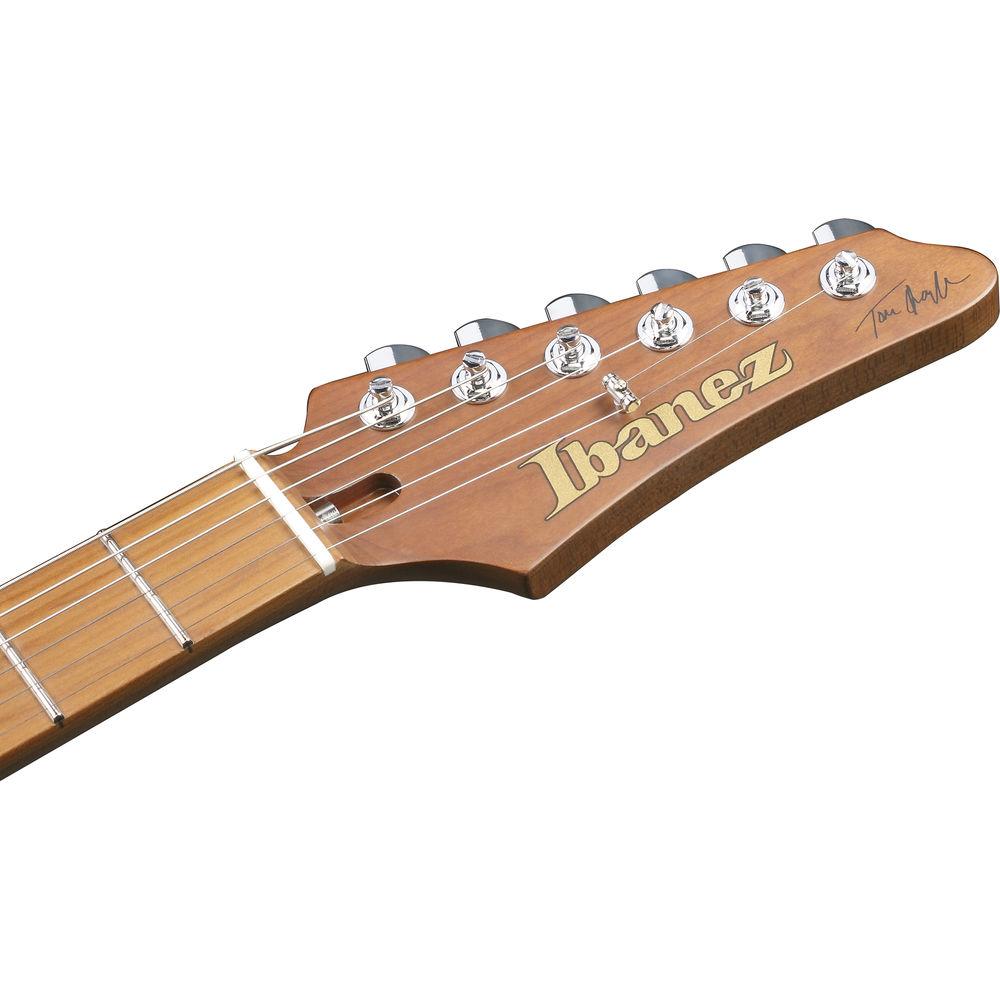 Ibanez TQM1 Tom Quayle Signature Series Electric Guitar