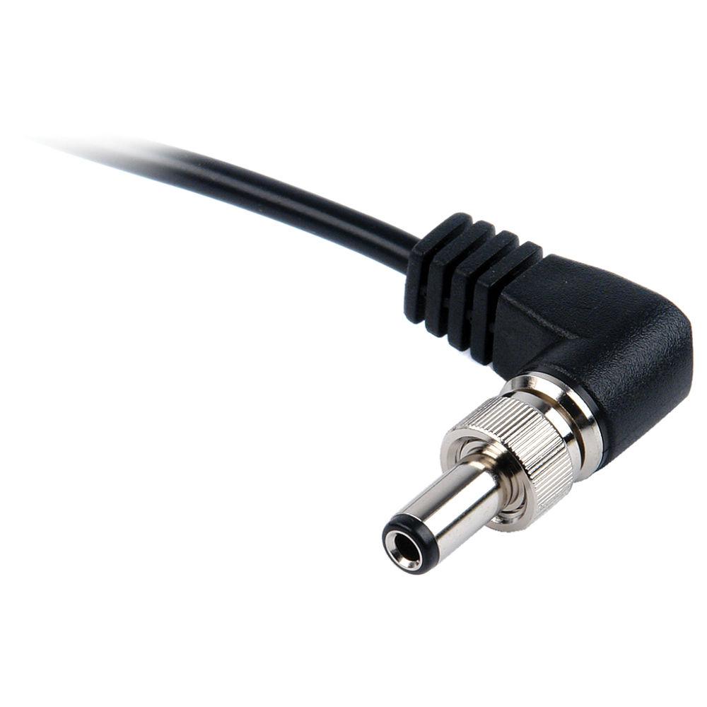 Remote Audio BDSCPT BDS Output Cable with Tinned Leads