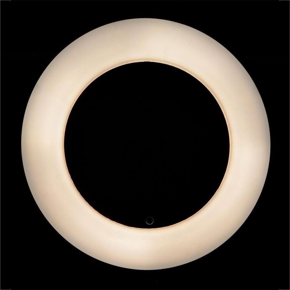 Savage Luminous Pro 19" Ringlight Plus