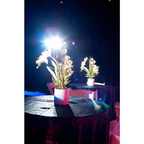 American DJ Event Bar Pro 40W White LED Light Fixture