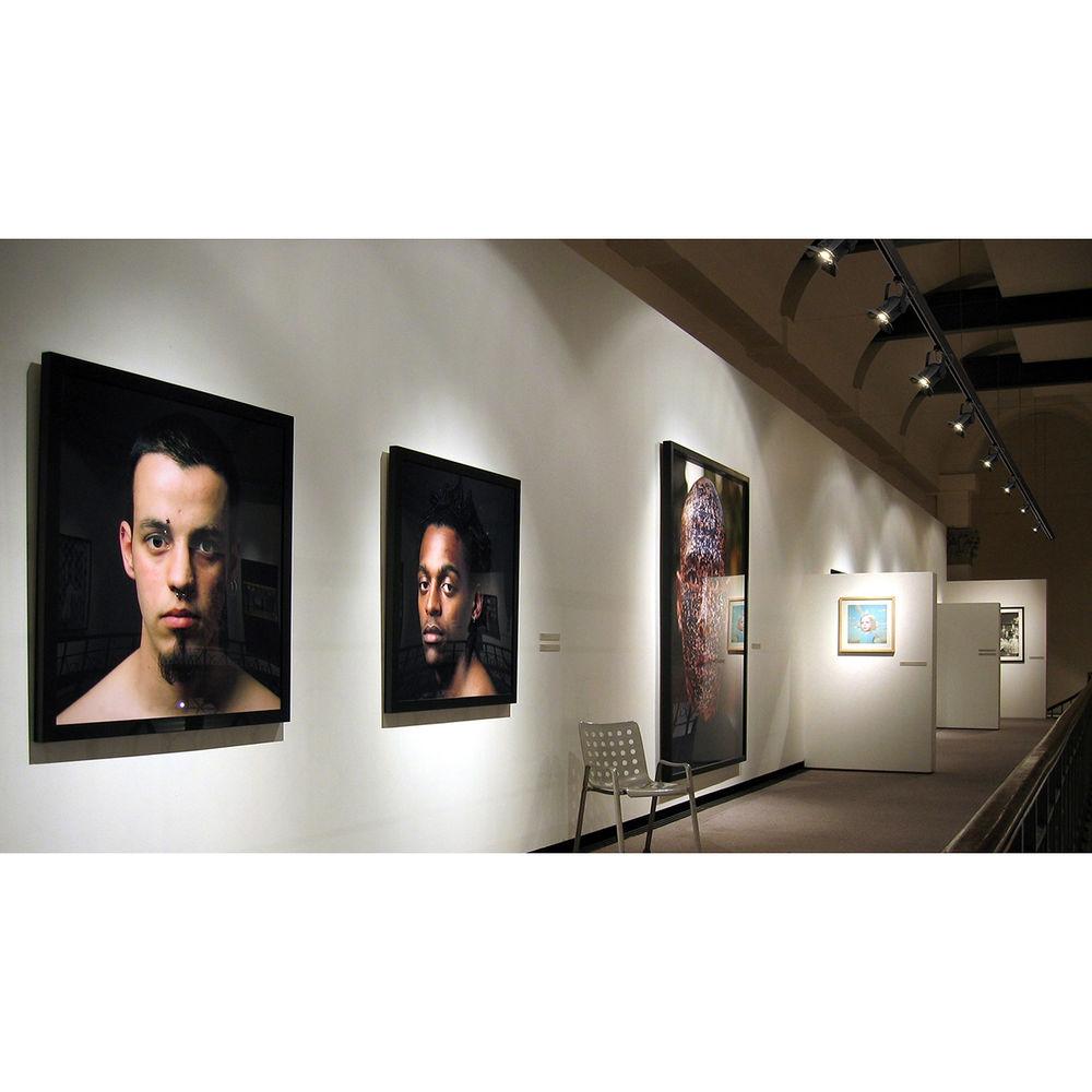 CHAUVET DJ EVE TF-20 Soft Edge LED Accent Luminaire