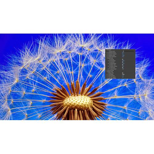 Boris FX Continuum Magic Sharp Premium Filter