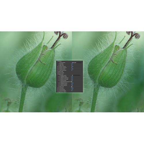 Boris FX Continuum Magic Sharp Premium Filter