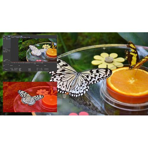 Boris FX Continuum Magic Sharp Premium Filter