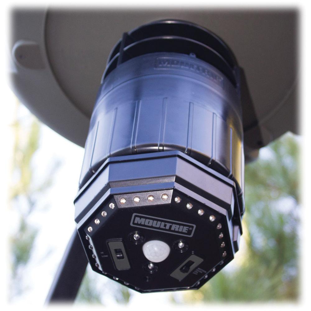 Moultrie Feeder Hog Light for Select Feeders