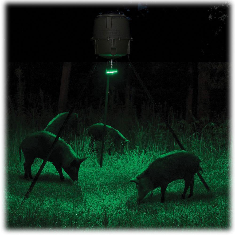 Moultrie Feeder Hog Light for Select Feeders