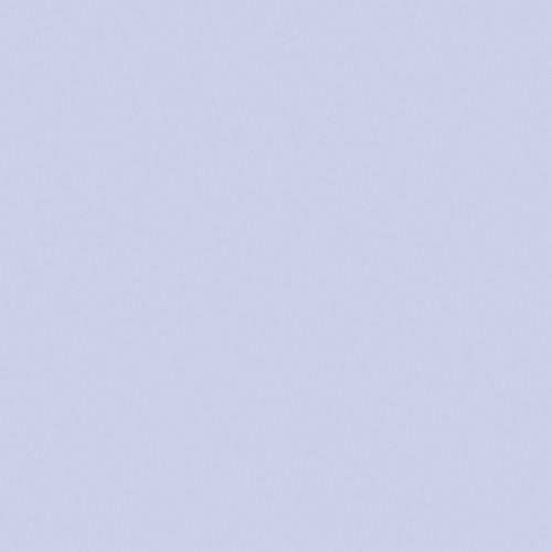 Rosco The Strobist Collection Flash Pack