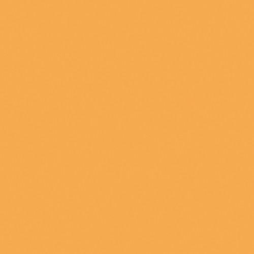 Rosco The Strobist Collection Flash Pack