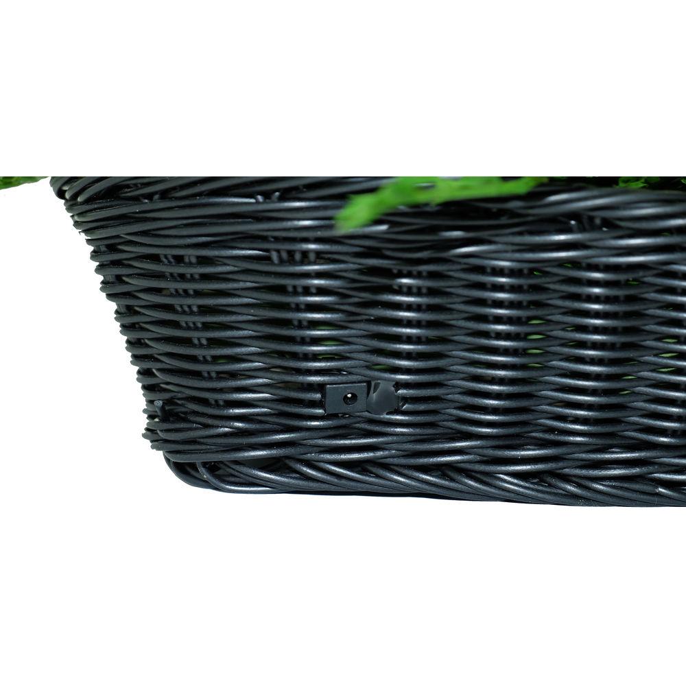 Bush Baby Fern Covert Camera with Wi-Fi