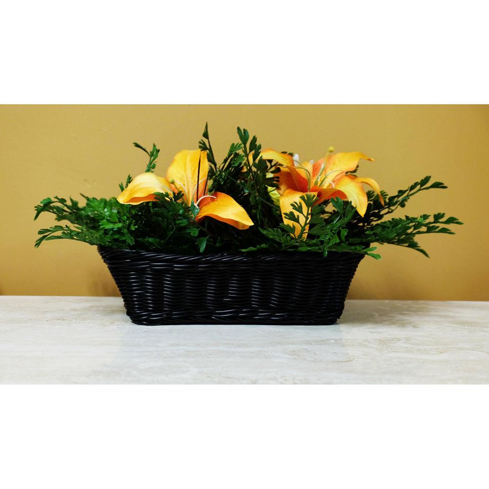 Bush Baby Fern Covert Camera with Wi-Fi