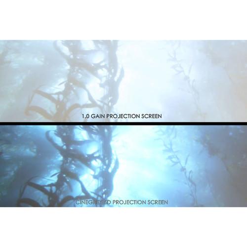 Elite Screens SableFrame ER135DHD3 Projection Screen