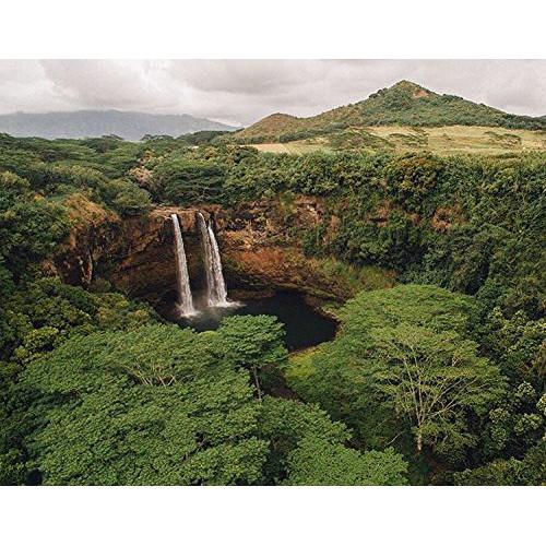 Freewell ND16 Filter for DJI Phantom 4 Pro Pro Plus Advance Drones