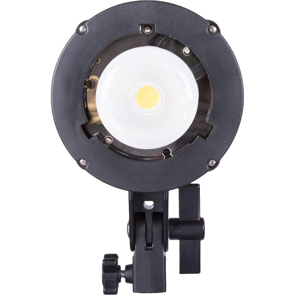 Interfit Honey Badger 320Ws 2-Light Kit