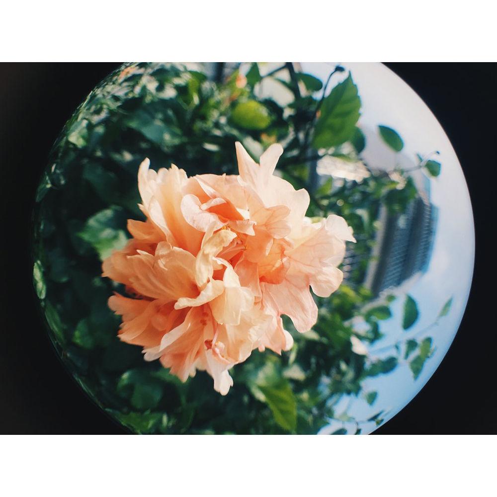 RhinoShield Fisheye Lens for the iPhone