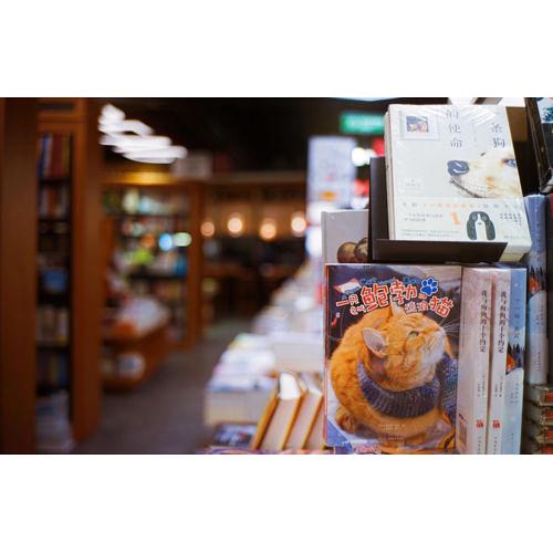 7artisans Photoelectric 35mm f 1.2 Lens for Canon EF-M