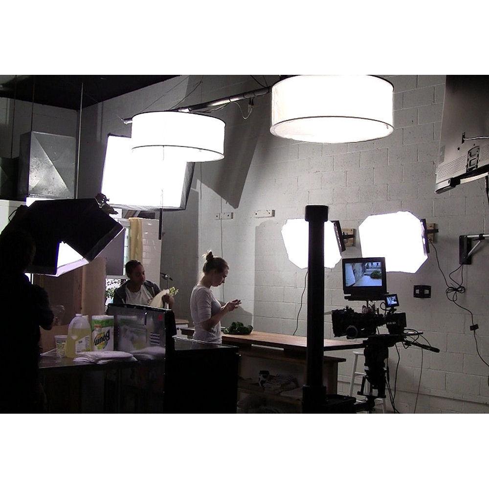 ALZO Drum Overhead Light with 4 CFL Bulbs