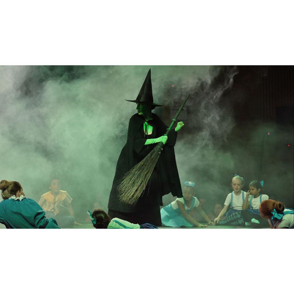 CHAUVET PROFESSIONAL Amhaze Whisper Haze Machine