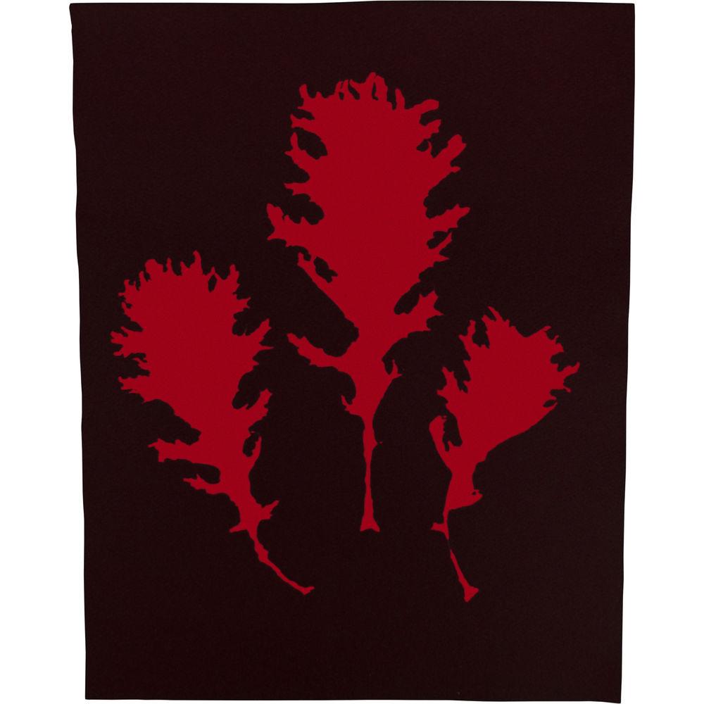 Cyanotype Store Cyanotype Paper