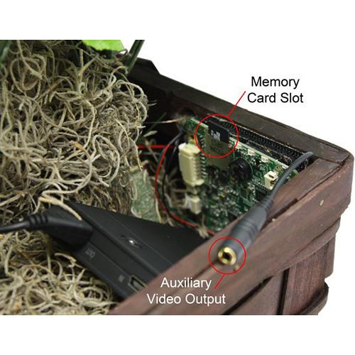 KJB Security Products Xtreme Life Plant with 4K UHD Covert Camera & DVR