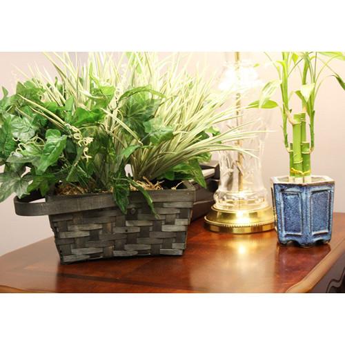 KJB Security Products Xtreme Life Plant with 4K UHD Covert Camera & DVR