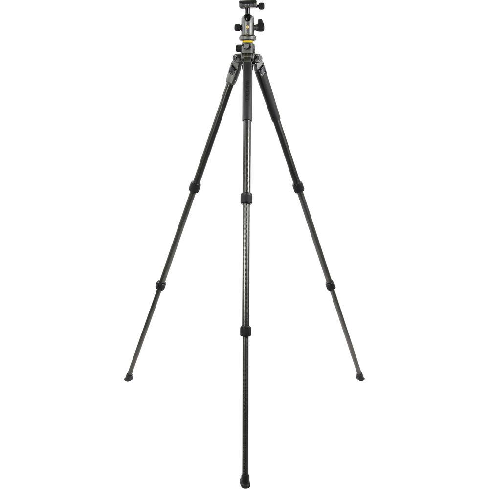 Vanguard Alta Pro 2 Carbon Fiber Tripod with BH-100 Ball Head