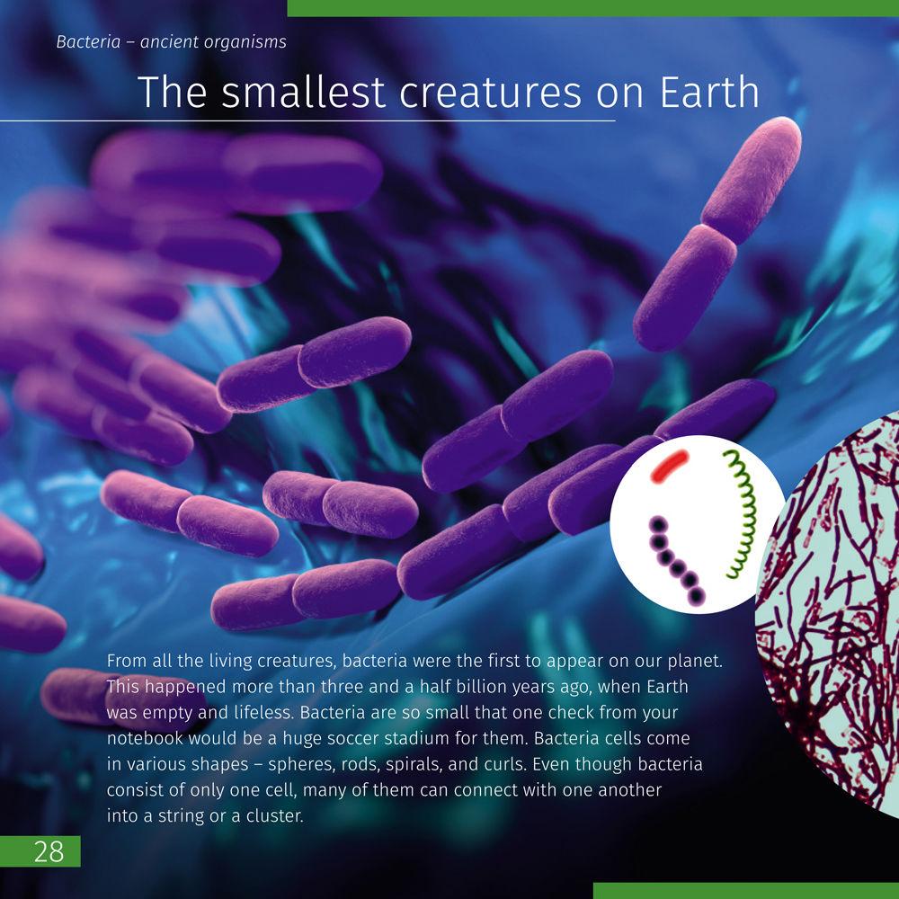 Levenhuk Invisible World Knowledge Book