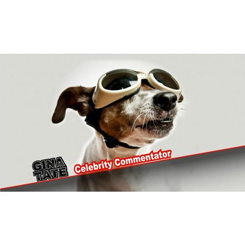 NewBlueFX GraphPax Title Template Collection