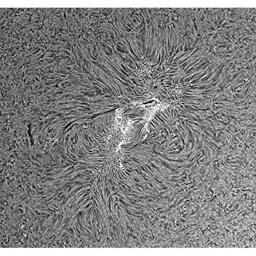 Coronado SolarMax III 90mm f 8.8 Double-Stacked H-alpha Solar Telescope