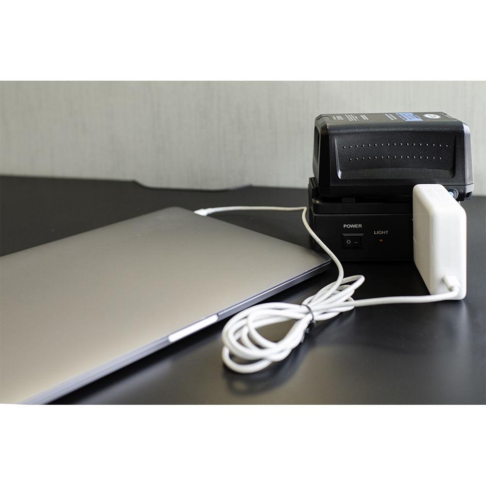 Savage Power Voltage Inverter