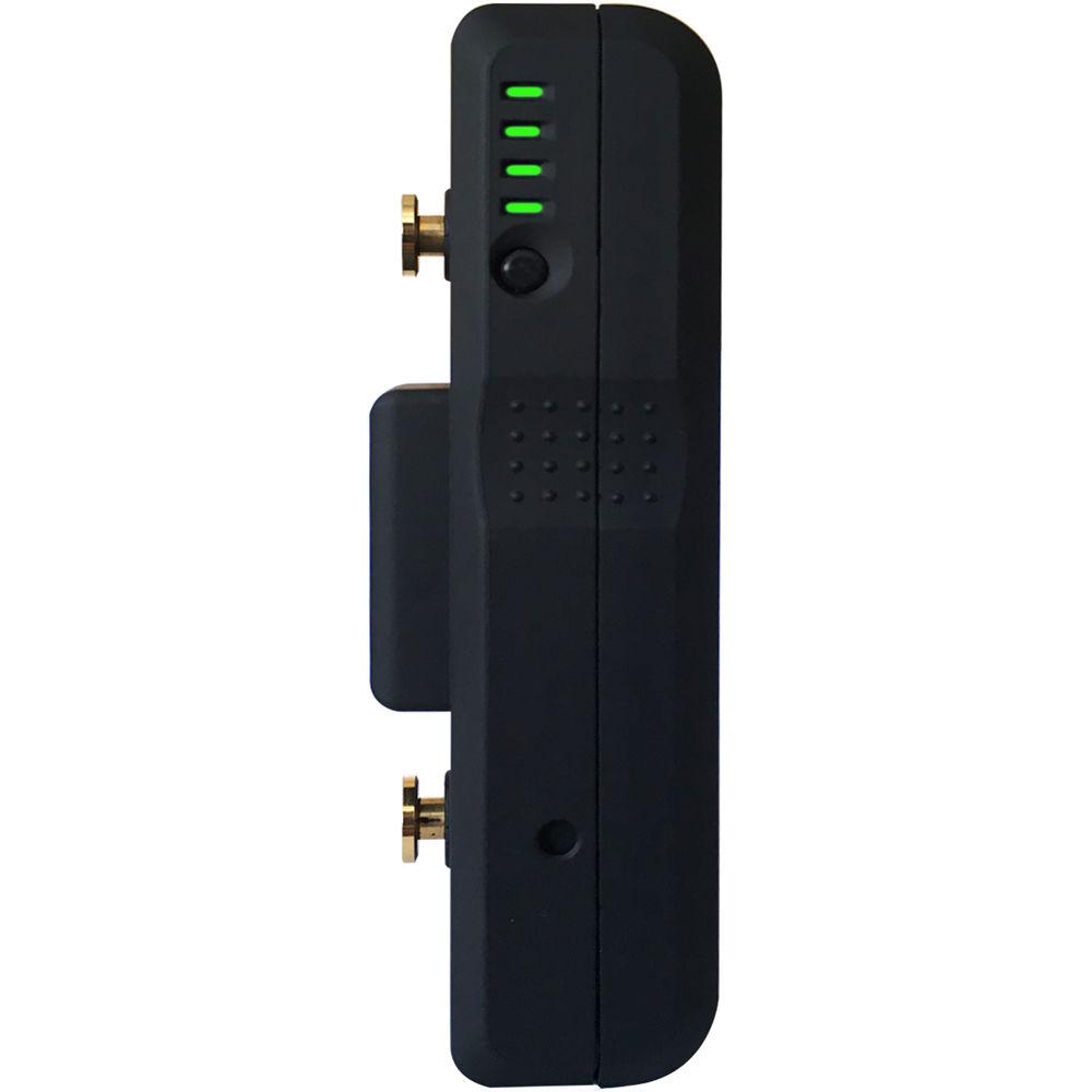 Core SWX Nano Gold Mount Battery